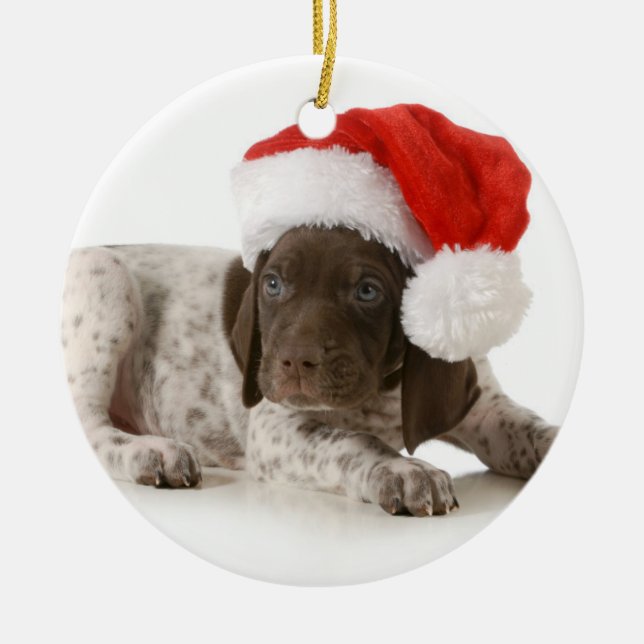 Ornement Rond En Céramique Chiot de Noël - indicateur aux cheveux courts (Devant)