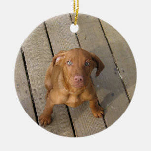 Ornement Rond En Céramique chiot vizsla