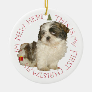Ornement Rond En Céramique Chiots Shih Tzu Premier Noël