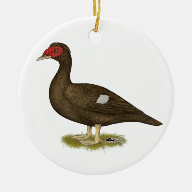 Ornement Rond En Céramique Chocolat de canard de Muscovy (Devant)