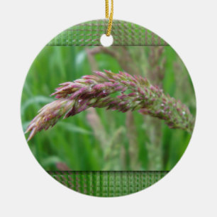 Ornement Rond En Céramique Comment l'herbe grandit l'ornement