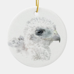 Ornement Rond En Céramique Coopers Hawk Chick