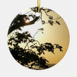 Ornement Rond En Céramique Coucher du soleil à travers les arbres II Photogra