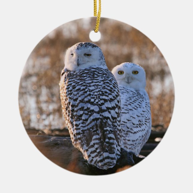 Ornement Rond En Céramique Couples de hibou de Milou (Devant)
