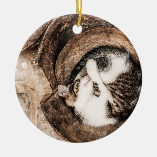 Ornement Rond En Céramique Créer votre propre - Nap de chat (Devant)