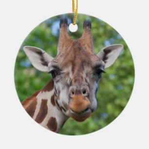 Ornement Rond En Céramique Curios Giraffe