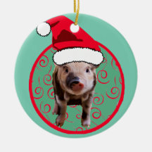Cute Pig Père Noël - Turquoise et rouge