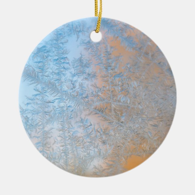 Ornement Rond En Céramique Délicat motif au gel, Wisconsin (Devant)