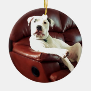 Ornement Rond En Céramique drôle de pit bull chien sur le canapé