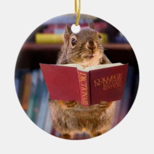 Ornement Rond En Céramique Écureuil futé lisant un dictionnaire