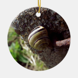 Ornement Rond En Céramique escargot