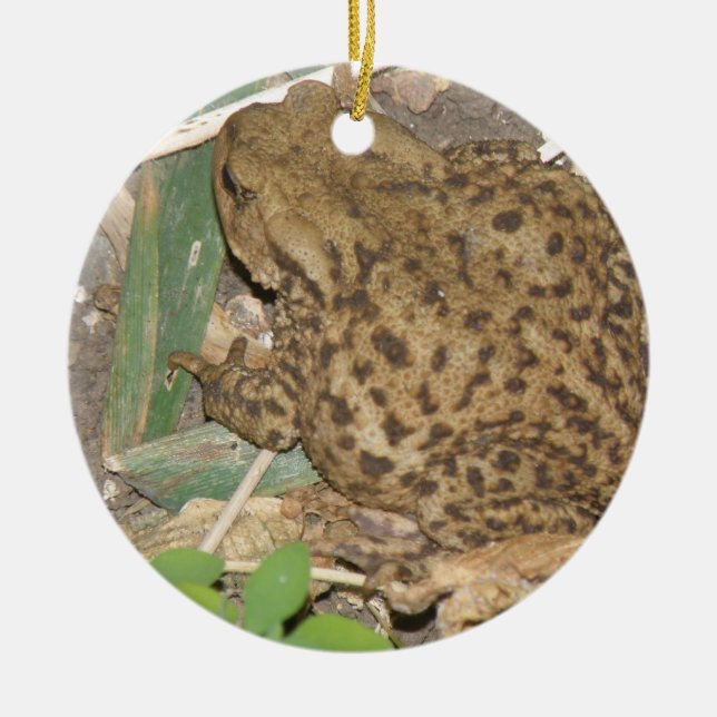 Ornement Rond En Céramique European Common Toad Custom Anniversaire (Devant)