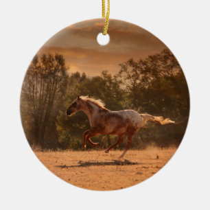 Ornement Rond En Céramique Exécution de l'ornement Appaloosa