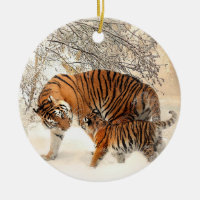 Famille de tigre en hiver