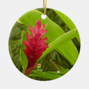 Ornement Rond En Céramique Fleur de gingembre rouge (Alpinia) tropicale