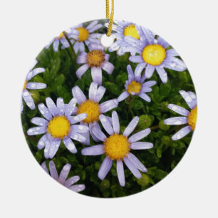 Ornement Rond En Céramique Fleurs marguerites, Fleur Jaune Blanche, Faisceaux