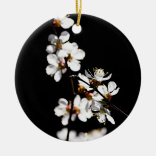 Ornement Rond En Céramique Fleurs Sakura