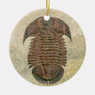 Ornement Rond En Céramique Fossile Trilobite de Yuepingia