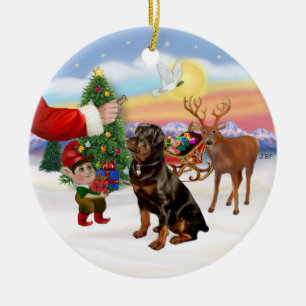 Ornement Rond En Céramique Friandise pour un Rottweiler