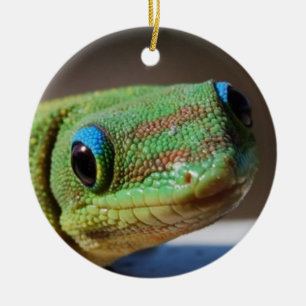 Ornement Rond En Céramique Gecko curieux