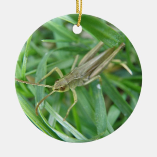 Ornement Rond En Céramique Grasshopper Personnalisé Anniversaire (Devant)