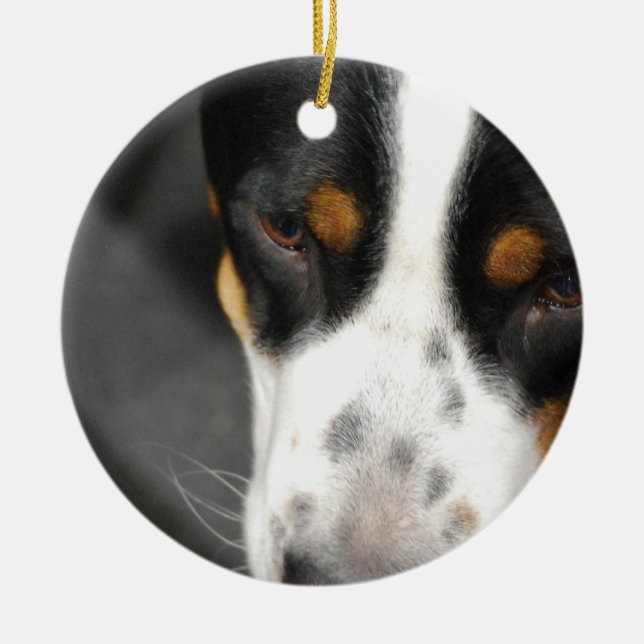 Ornement Rond En Céramique greater-swiss-mountain-dog-1.jpg (Devant)
