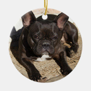 Ornement Rond En Céramique Grouchy French Bulldog