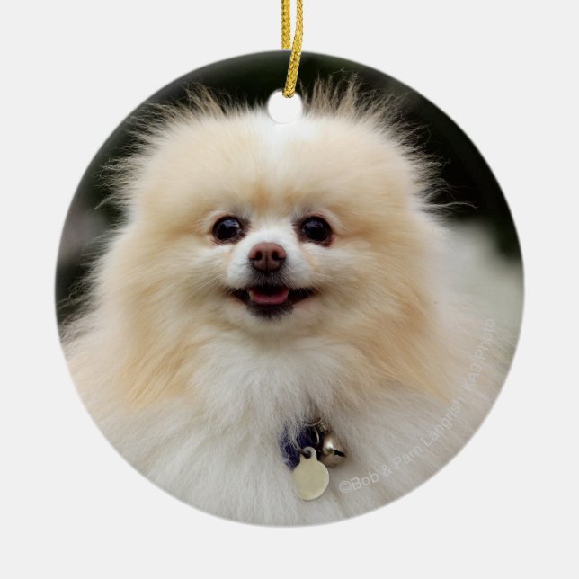Ornement Rond En Céramique Headshot 1 de Pomeranian (Devant)