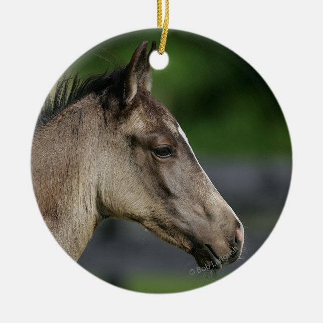 Ornement Rond En Céramique Headshot quart de poulain de cheval (Devant)