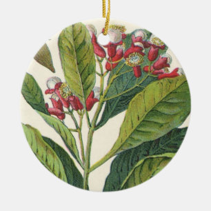 Ornement Rond En Céramique Herbes alimentaires vintages Épices, Cloches Plant