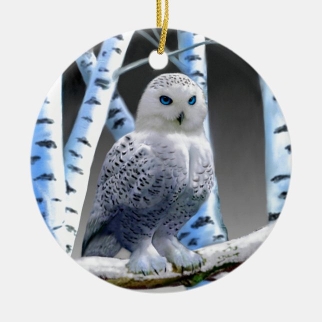 Ornement Rond En Céramique Hibou aux yeux bleus de neige (Devant)