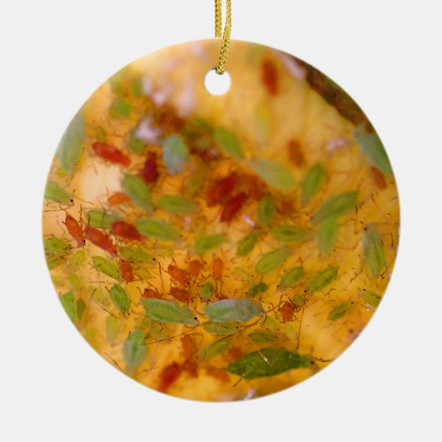 Ornement Rond En Céramique Infestation d'aphis (Devant)