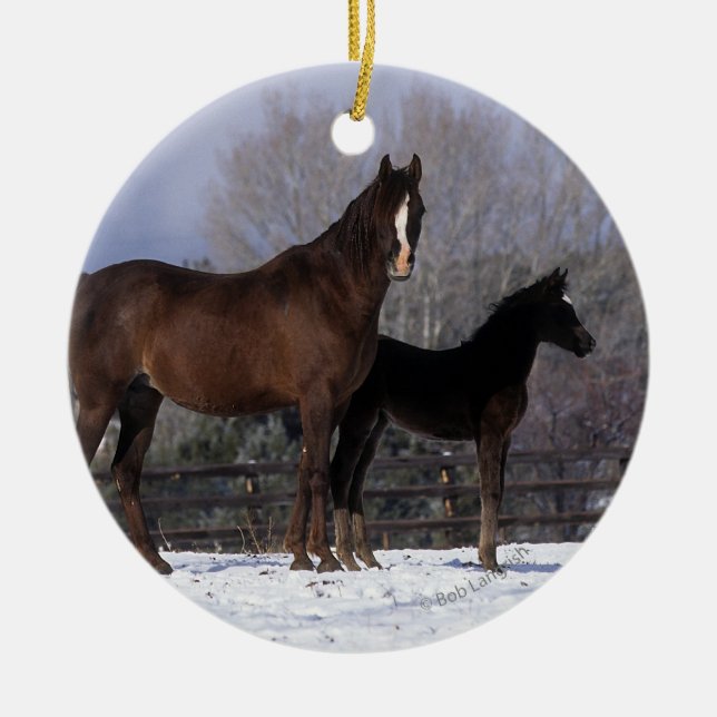 Ornement Rond En Céramique Jument et poulain arabes dans la neige (Devant)