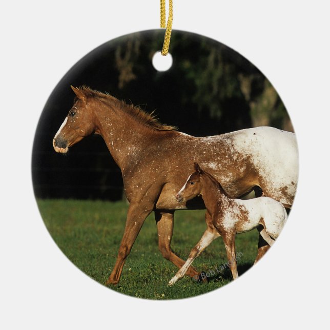 Ornement Rond En Céramique Jument et poulain d'Appaloosa (Devant)