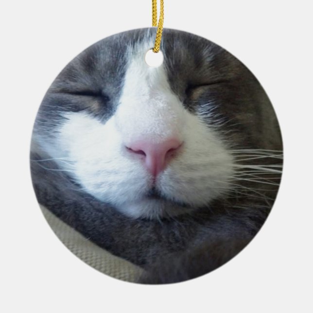 Ornement Rond En Céramique Kitty avec le sommeil rose de nez (Devant)