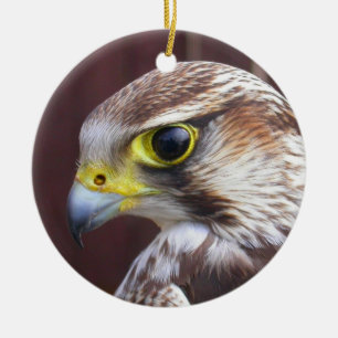 Ornement Rond En Céramique Lanner Falcon