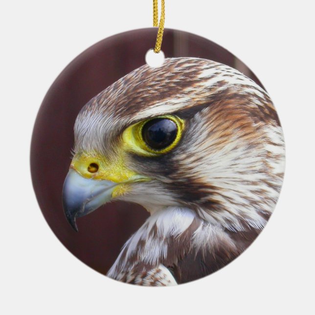Ornement Rond En Céramique Lanner Falcon (Devant)