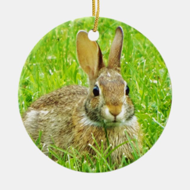 Ornement Rond En Céramique lapin (Devant)