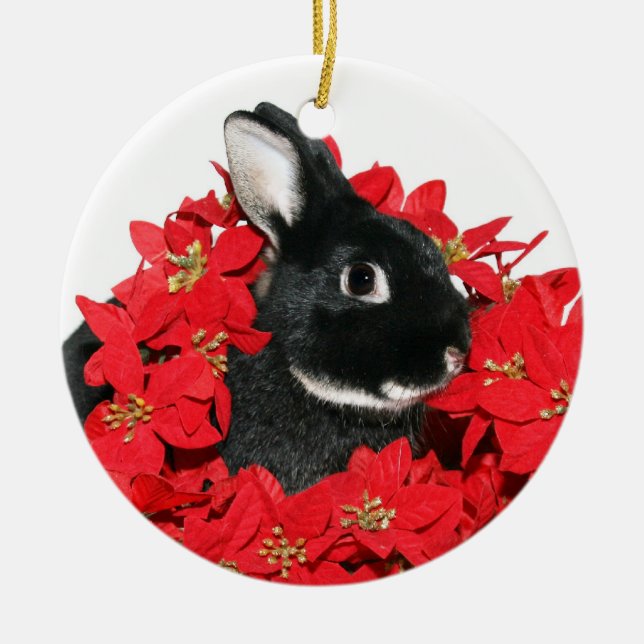 Ornement Rond En Céramique lapin de Noël (Devant)