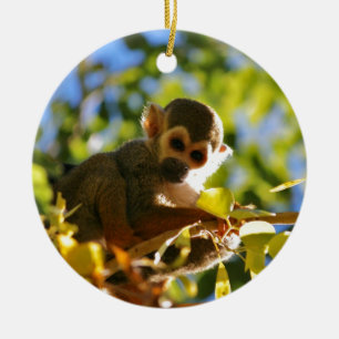 Ornement Rond En Céramique Le singe brille