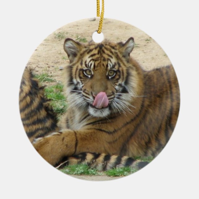 Ornement Rond En Céramique Le tigre CUB ornementent (Devant)