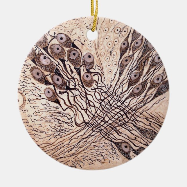 Ornement Rond En Céramique Les neurones 1 de Cajal (Devant)