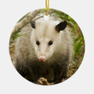 Ornement Rond En Céramique Les opossums sont jolis - opossum Didelphimorphia