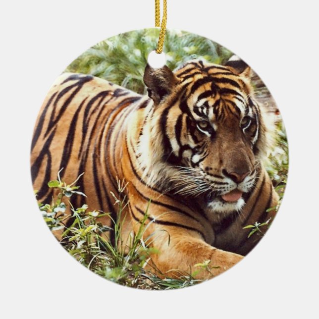 Ornement Rond En Céramique L'Ornement des Fêtes de Tigre (Devant)