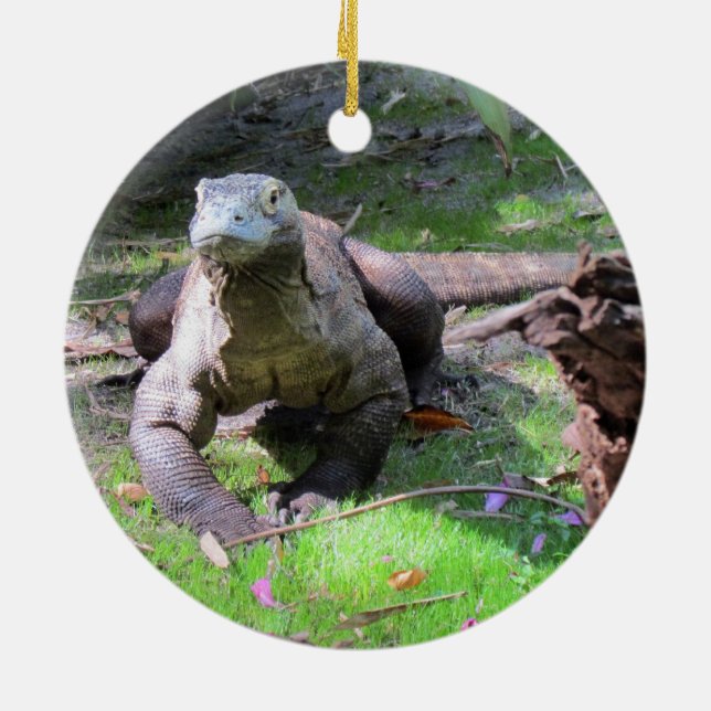 Ornement Rond En Céramique L'Ornement du dragon de Komodo (Dos)