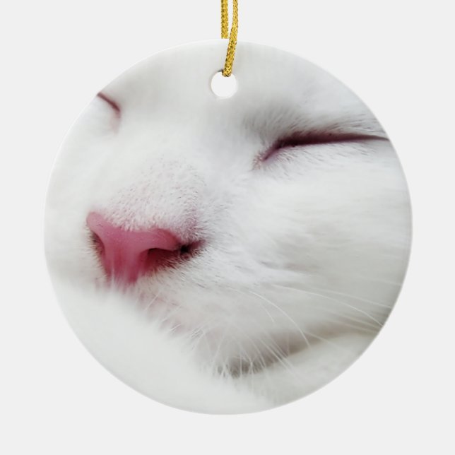 Ornement Rond En Céramique L'Ornement du visage couché de chatte blanc (Devant)