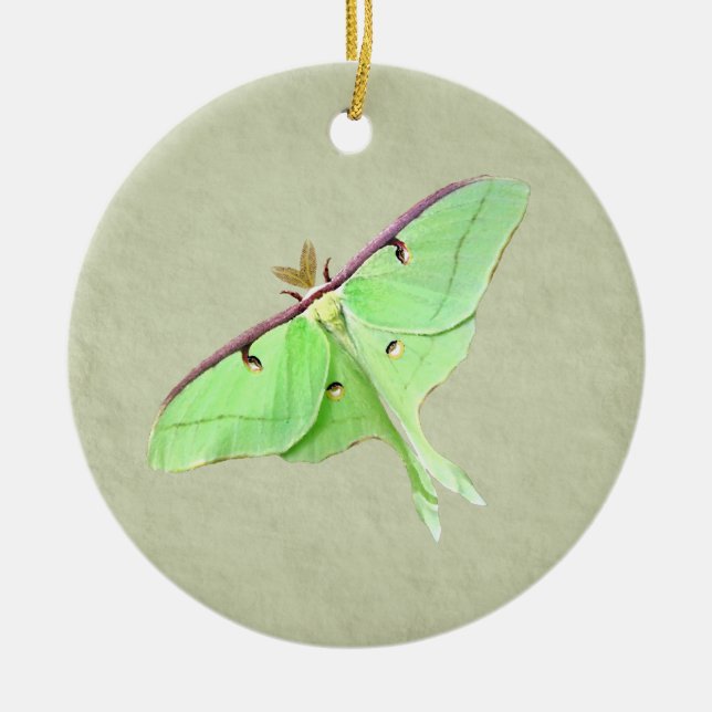 Ornement Rond En Céramique Luna Moth Ornament (Devant)