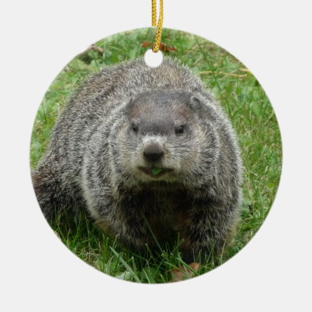 Ornement Rond En Céramique Manger des marmottes (Devant)