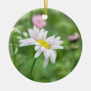 Ornement Rond En Céramique Marguerites de pyrèthre - coccineum de Tanacetum