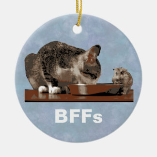 Ornement Rond En Céramique Meilleurs amis chat et souris partageant le bol de